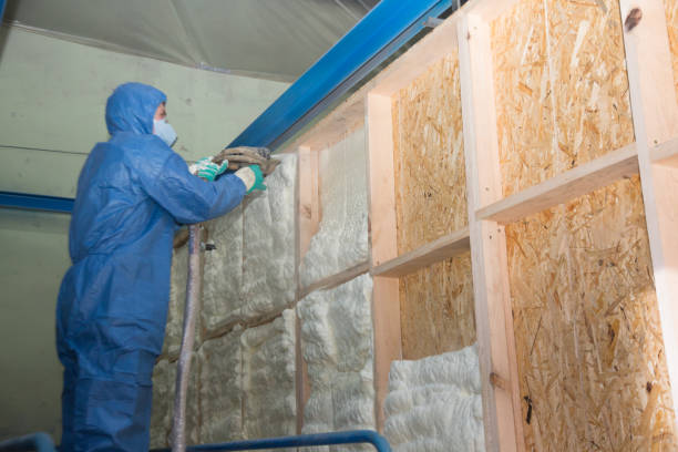 Best Affordable Insulation Services  in Riva, MD